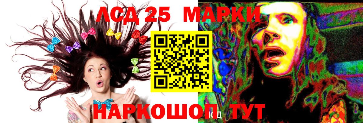 Псилоцибиновые грибы Тихорецк