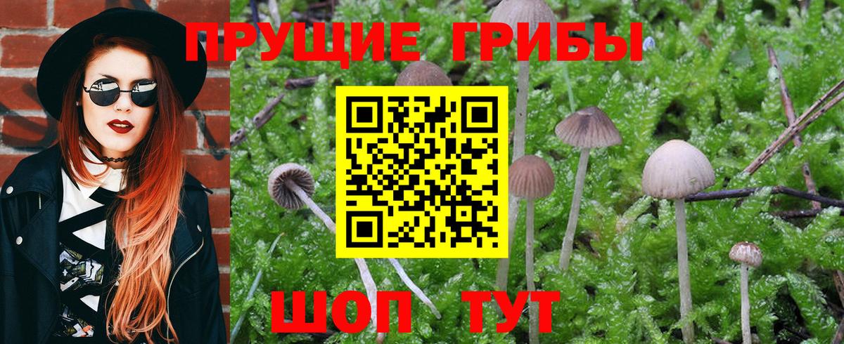 Псилоцибиновые грибы Psilocybine cubensis  Вход с VPN  Галлюциногенные грибы Psilocybe  Тихорецк 