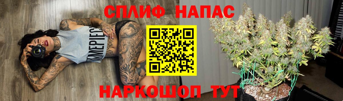 Конопля планчик  Вход с VPN  Тихорецк  Бошки Шишки индика  Канабис гибрид 